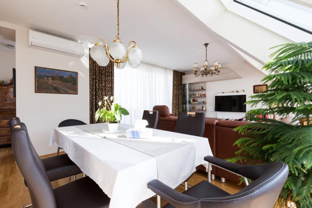 ウィーンGrosses Penthouse #12 Mit Terrasse Und Aussichtアパートメント エクステリア 写真
